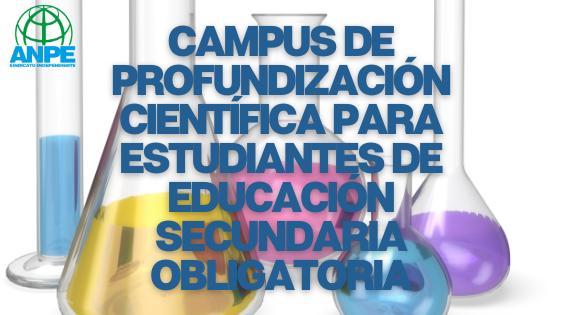 anpe-web--1-