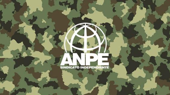 anpe-web-1-