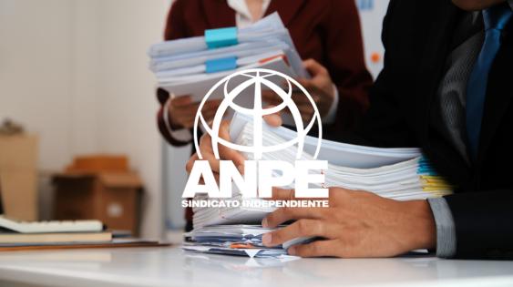 anpe-web-2-