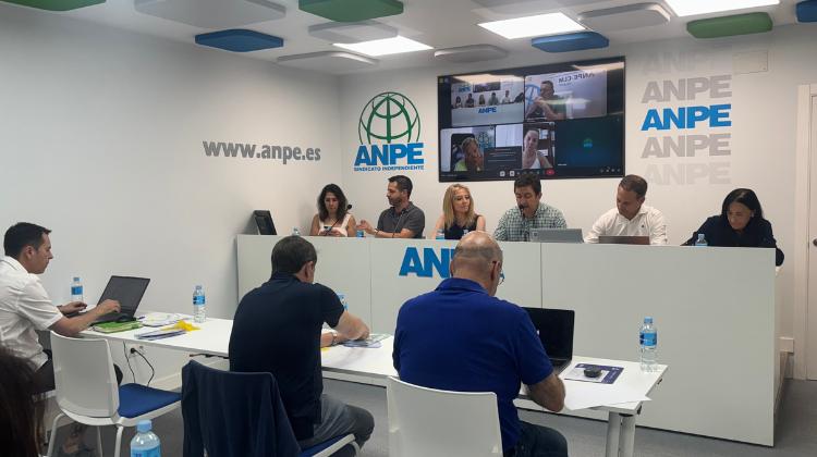 anpe-web