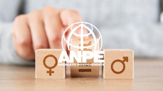 anpe-web