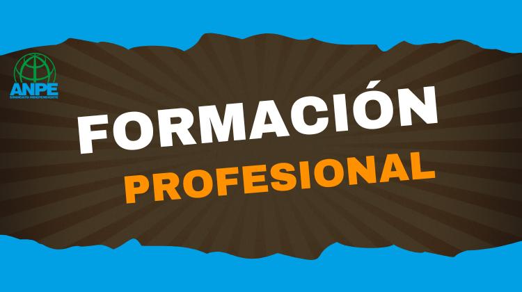 formación-profesional