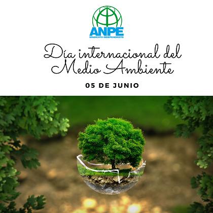 día-internacional-medio-ambiente-2022-web