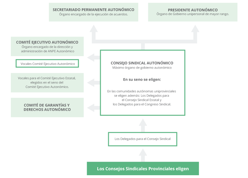 Estructura Autonómica