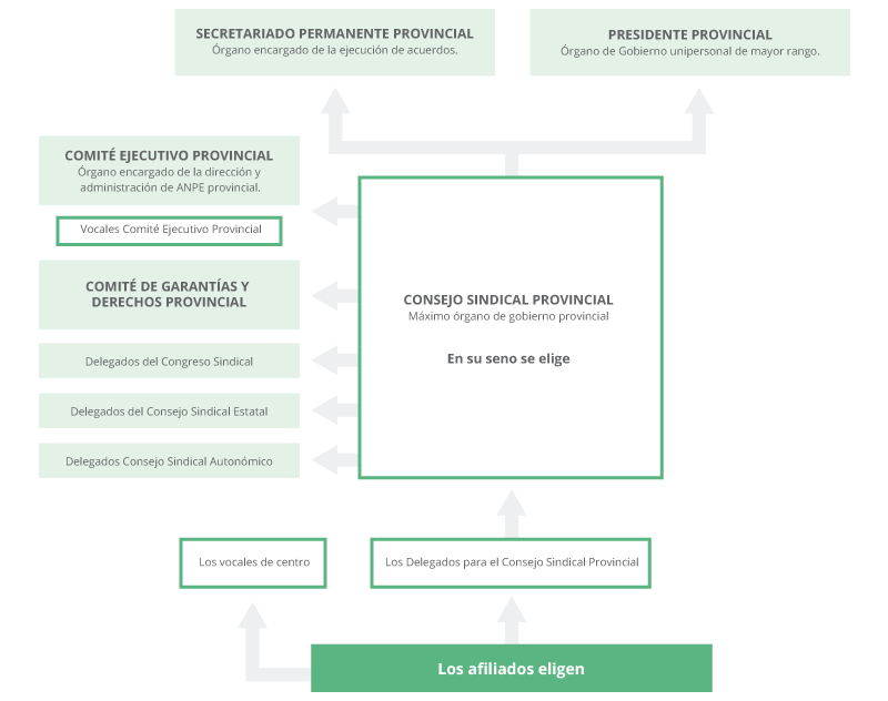 Estructura Provincial